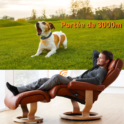 Collier de Dressage--Collier Choc--Portée de 3000 Mètres-MD26T