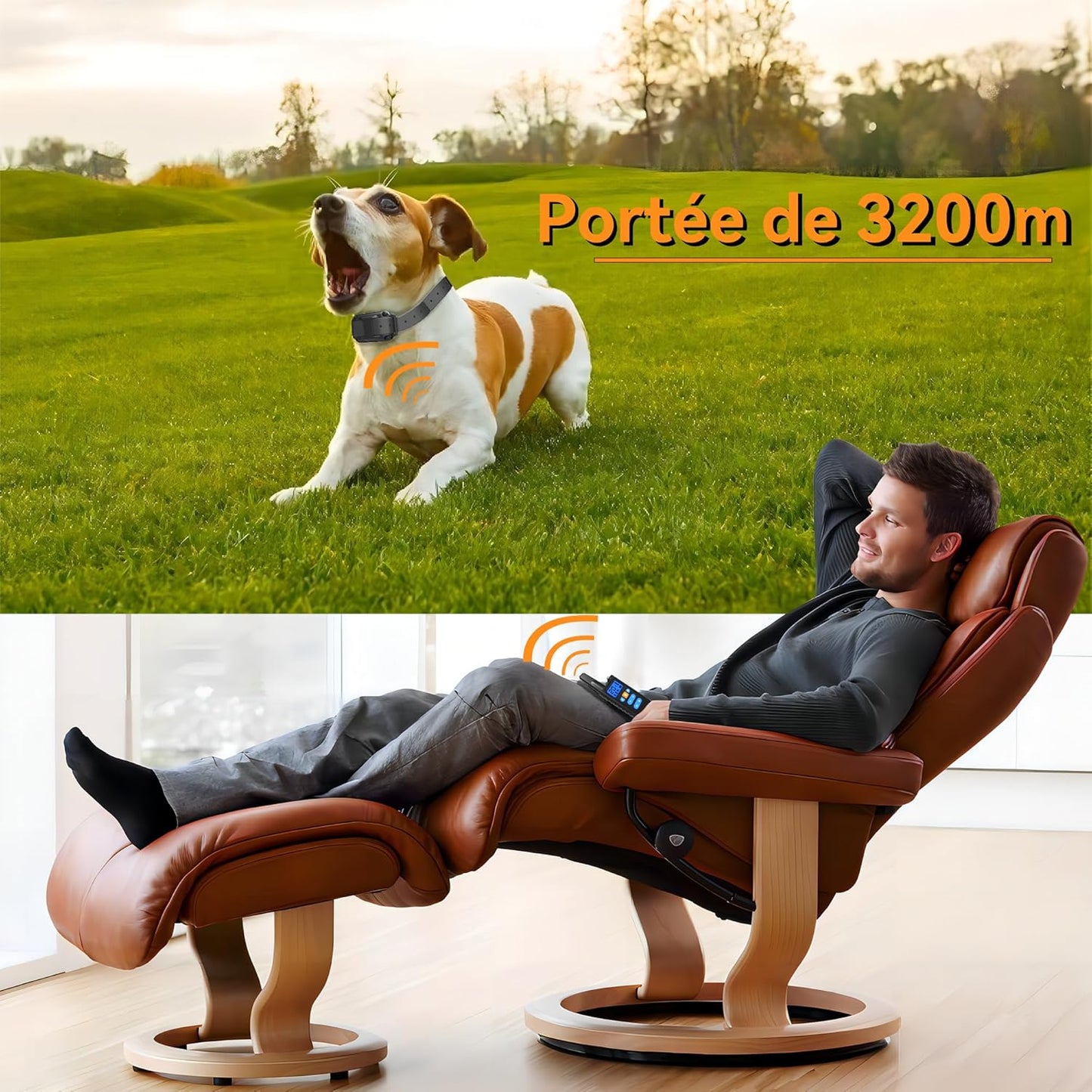 Collier de Dressage--Collier Choc--Portée de 2300 Mètres-MD19T