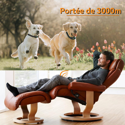 Collier de Dressage--Collier Choc--Portée de 3000 Mètres-MD26T-2
