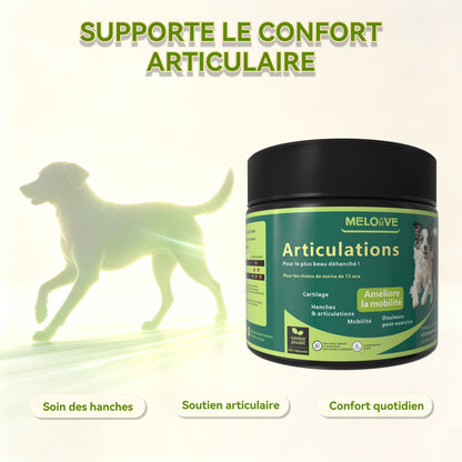 Complément Alimentaire Articulation pour Chien, Anti-Arthrose,Soutien Articulaire Premium | Glucosamine, Chondroïtine, MSM, Moules vertes, Acide Hyaluronique | 120 Bouchées Molles
