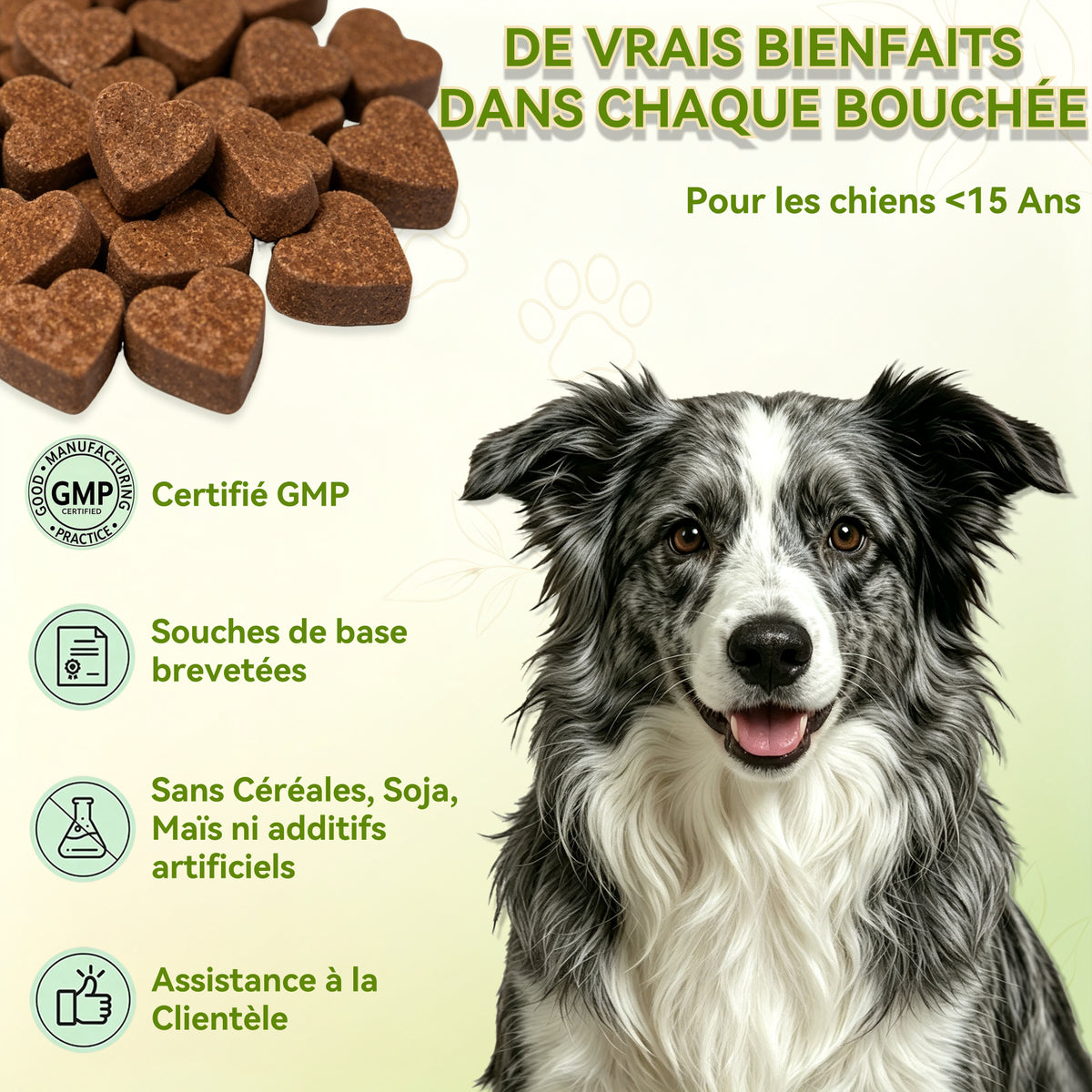 Complément Alimentaire Articulation pour Chien, Anti-Arthrose,Soutien Articulaire Premium | Glucosamine, Chondroïtine, MSM, Moules vertes, Acide Hyaluronique | 120 Bouchées Molles