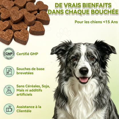 Complément Alimentaire Articulation pour Chien, Anti-Arthrose,Soutien Articulaire Premium | Glucosamine, Chondroïtine, MSM, Moules vertes, Acide Hyaluronique | 120 Bouchées Molles