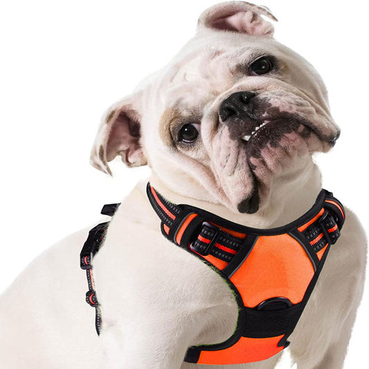 Harnais Chien, Harnais Anti Traction Réfléchissant pour Petit Chien Réglable, Facile à Mettre, Arnet pour Chien pour Randonnée Trajet Respirant Solide, avec Poignée Contrôle, Orange, M