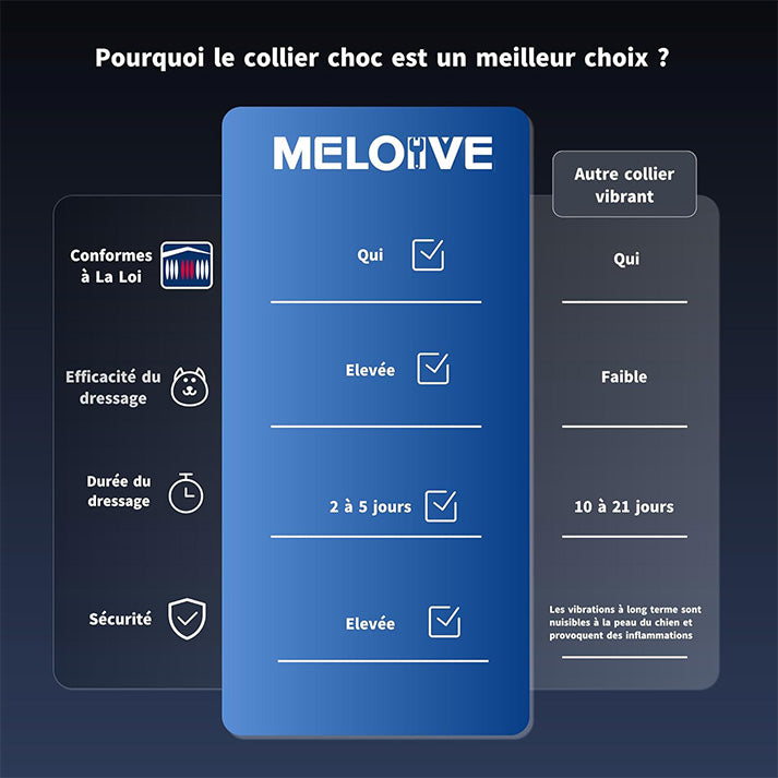 Collier de Dressage et Anti Aboiement--Collier Choc--Portée de 3800 Mètres-MT21