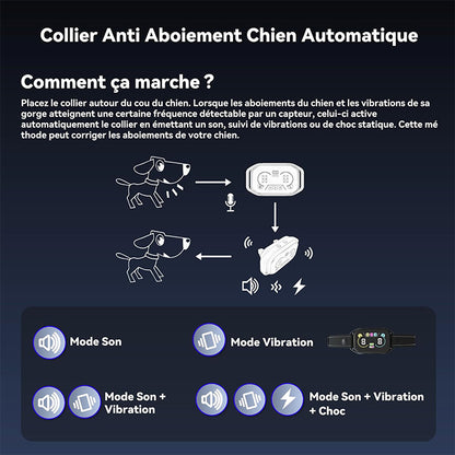 Collier de Dressage et Anti Aboiement--Collier Choc--Portée de 3800 Mètres-MT21
