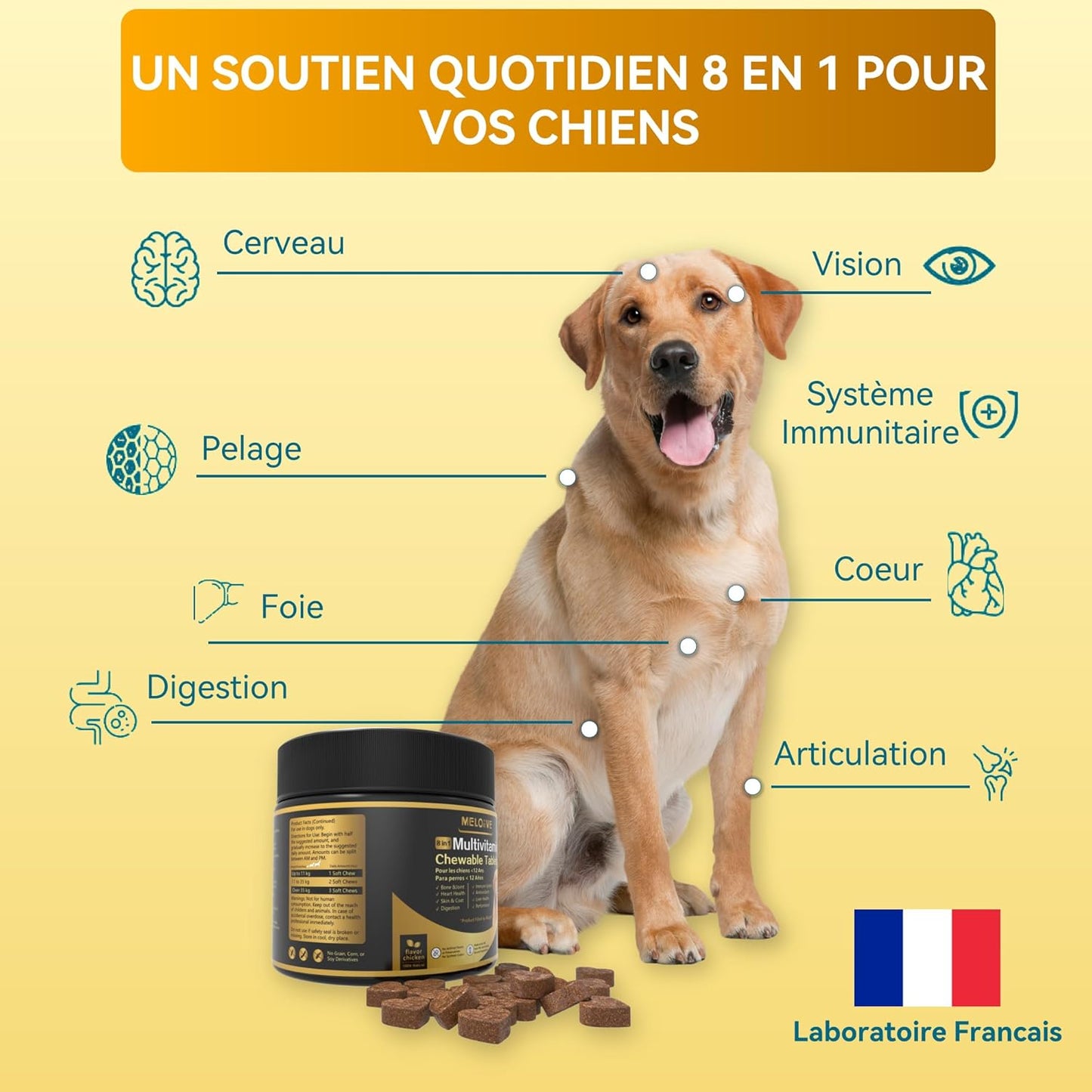 8 en 1 Multivitamines pour Chien | Compléments Alimentaires Premium pour Chiens | Au Poulet | 120 Comprimés