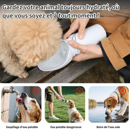 Bouteille d'eau pour Chien 550ml,Gourde pour Chien avec Bol Intégré,Distributeur d'eau Portable de Qualité Alimentaire pour Chien et Chat, Gourde pour Animaux de Compagnie en Plein Air