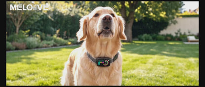 Collier Anti Aboiement Chien Automatique,Collier Choc,Noir-M773B