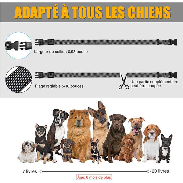 Collier Anti Aboiement, Module de Détection Intelligente d’Aboiement Collier pour Petits, Moyens et Grands Chiens(PB22)