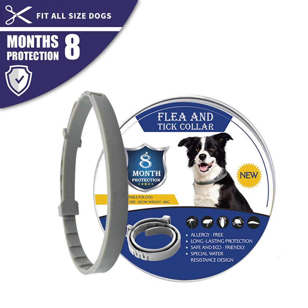 Flea and Tick Collar for Dogs and Cats, Prevention Against Ticks and Fleas for 8 Months, Natural Formula (62 cm). 