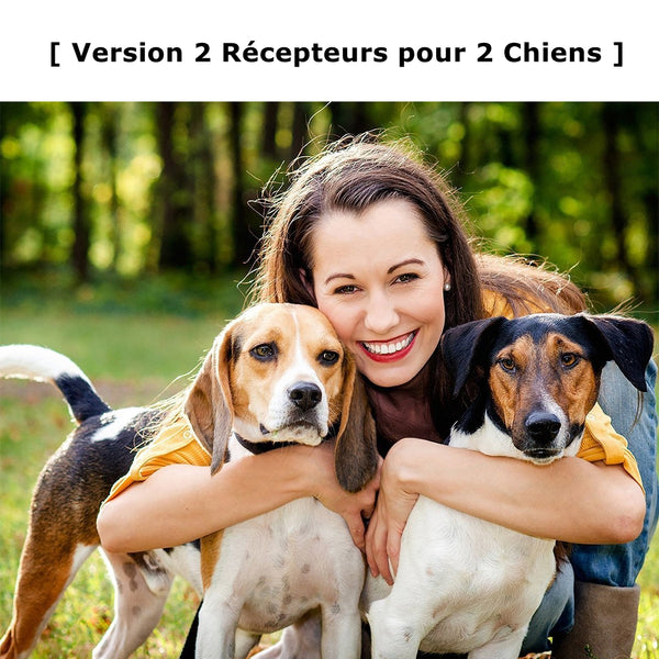 Collier de dressage et Anti-aboiement pour 2 Chiens---Contrôle manuel portée 500 mètres--Imperméable d'un niveau IP3 (P813-2)