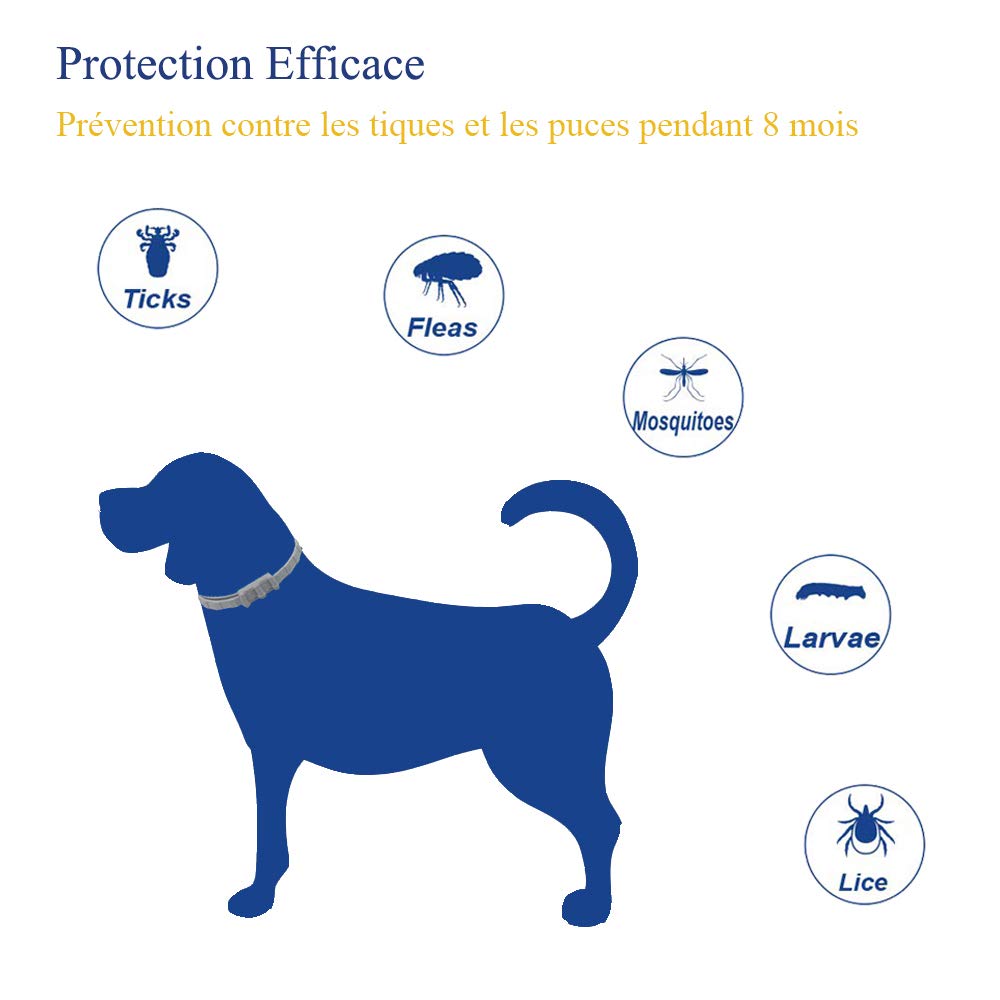 Flea and Tick Collar for Dogs and Cats, Prevention Against Ticks and Fleas for 8 Months, Natural Formula (62 cm). 