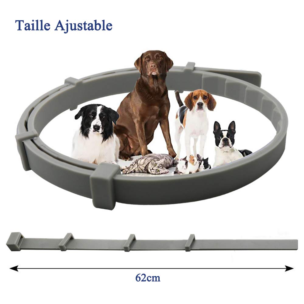 Flea and Tick Collar for Dogs and Cats, Prevention Against Ticks and Fleas for 8 Months, Natural Formula (62 cm). 