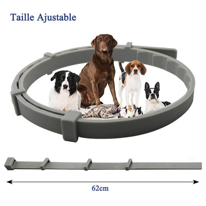 Flea and Tick Collar for Dogs and Cats, Prevention Against Ticks and Fleas for 8 Months, Natural Formula (62 cm). 