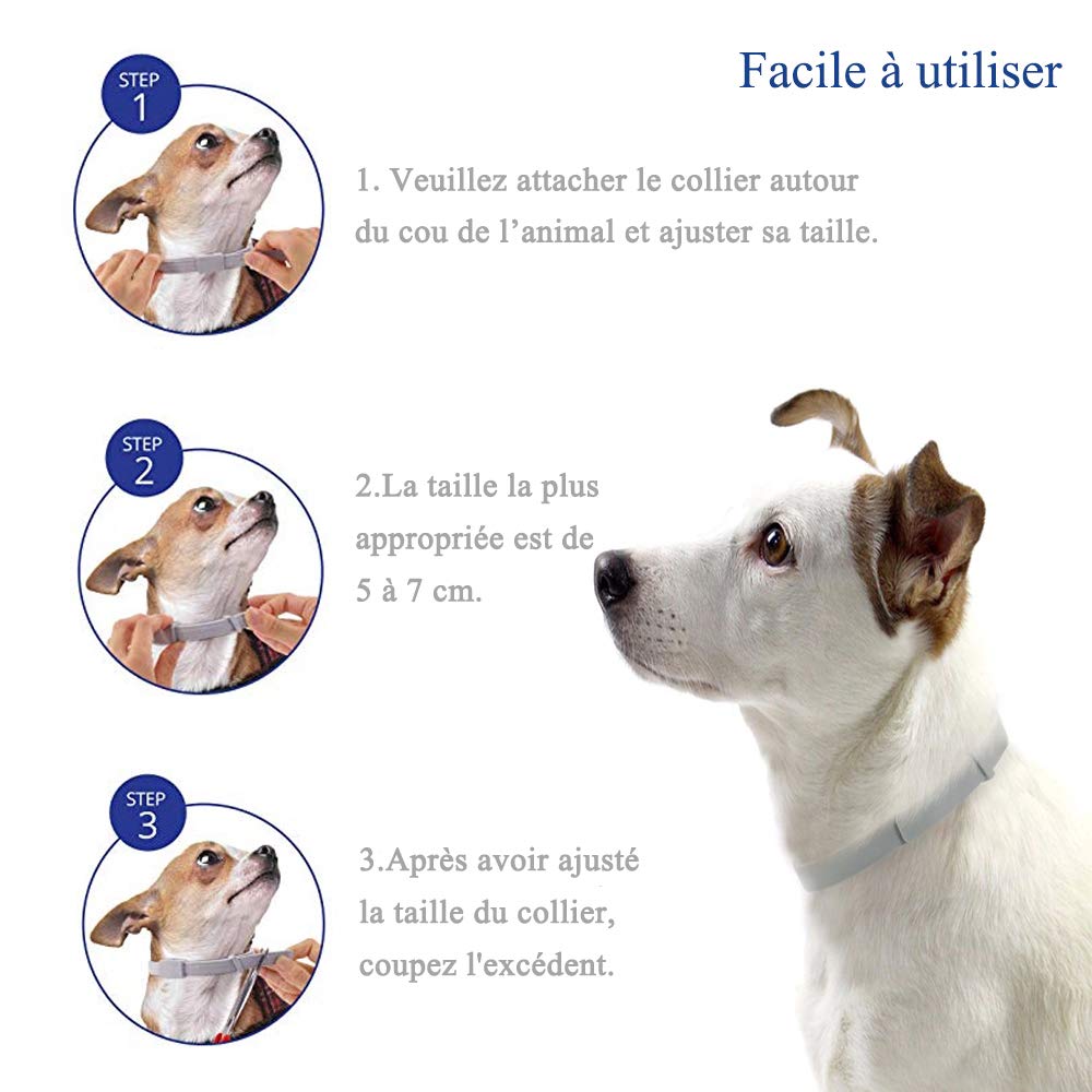 Flea and Tick Collar for Dogs and Cats, Prevention Against Ticks and Fleas for 8 Months, Natural Formula (62 cm). 