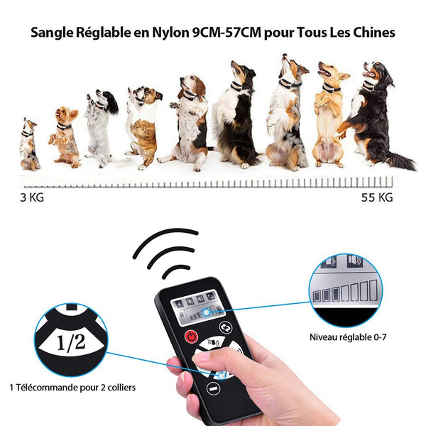 Collier de dressage et Anti-aboiement pour Chiens---Contrôle manuel portée 500 mètres--Imperméable d'un niveau IP3 (P813)