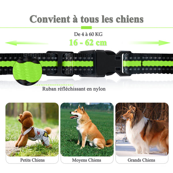 Collier de Dressage pour Deux Chien Rechargeable et IP67 Étanche avec Portée de 400 Mètres--GDT101-2