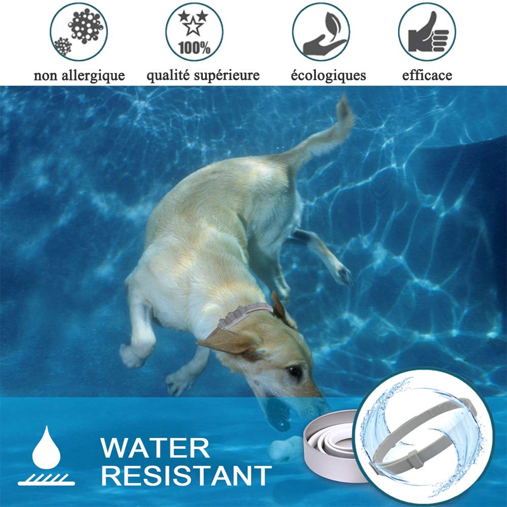 Flea and Tick Collar for Dogs and Cats, Prevention Against Ticks and Fleas for 8 Months, Natural Formula (62 cm). 