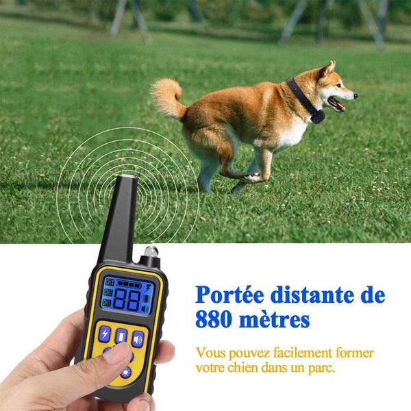 Collier de dressage pour 1 chien----Contrôle manuel portée 800 mètres--Imperméable d'un niveau IP67 (FI3)
