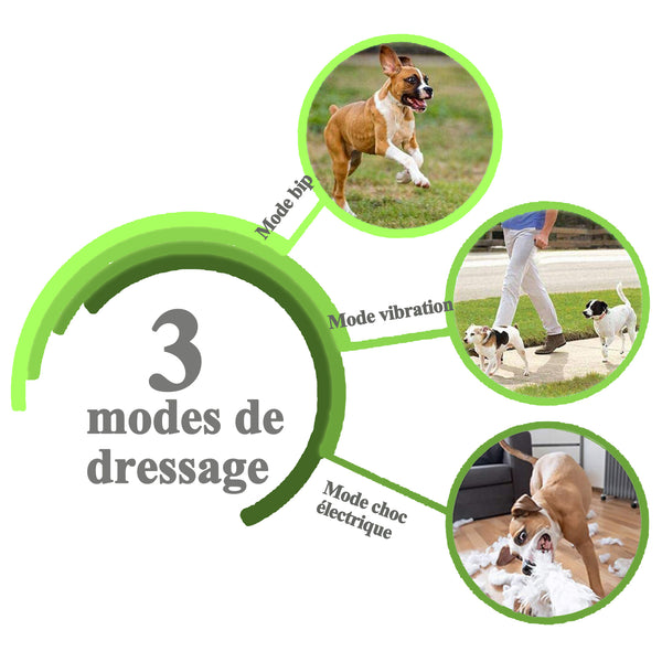 Collier de Dressage pour Deux Chien Rechargeable et IP67 Étanche avec Portée de 400 Mètres--GDT101-2