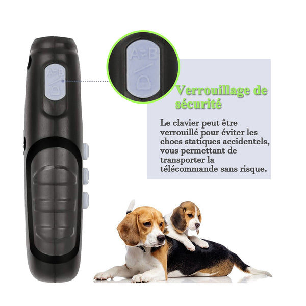 Collier de Dressage pour Deux Chien Rechargeable et IP67 Étanche avec Portée de 400 Mètres--GDT101-2