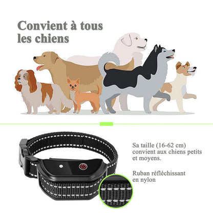 Collier de Dressage--Collier Choc--Portée de 400 Mètres-GDT101