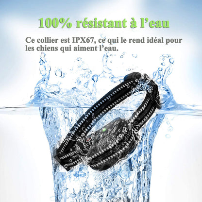 Collier de Dressage--Collier Choc--Portée de 400 Mètres-GDT101