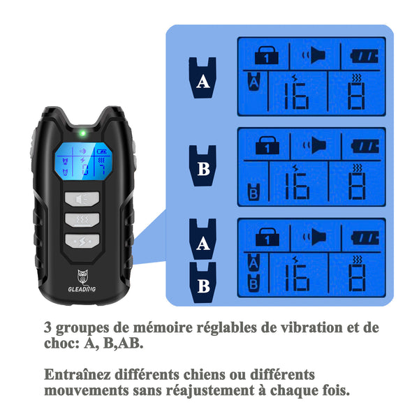 Collier de Dressage pour Deux Chien Rechargeable et IP67 Étanche avec Portée de 400 Mètres--GDT101-2