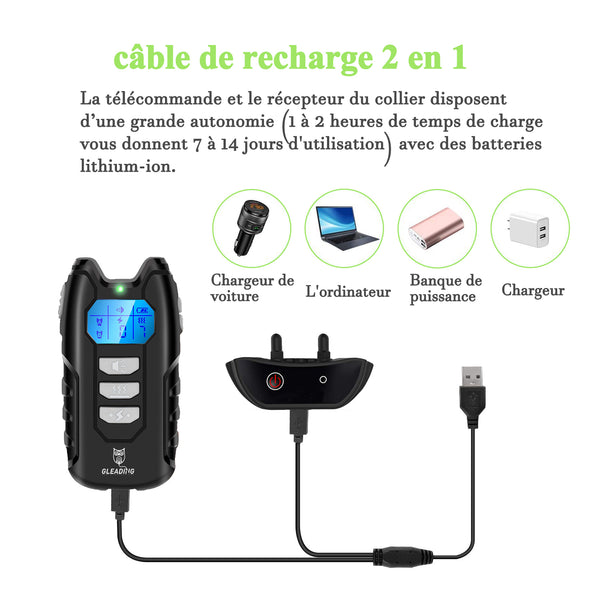 Collier de Dressage pour Deux Chien Rechargeable et IP67 Étanche avec Portée de 400 Mètres--GDT101-2