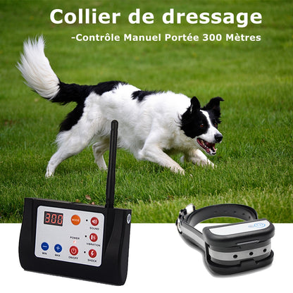 Système Clôture Anti-Fugue Sans Fil avec un Collier Imperméable，Clôture Sans Fil et Collier de Dressage pour Chien 2 en 1 (GAF003)