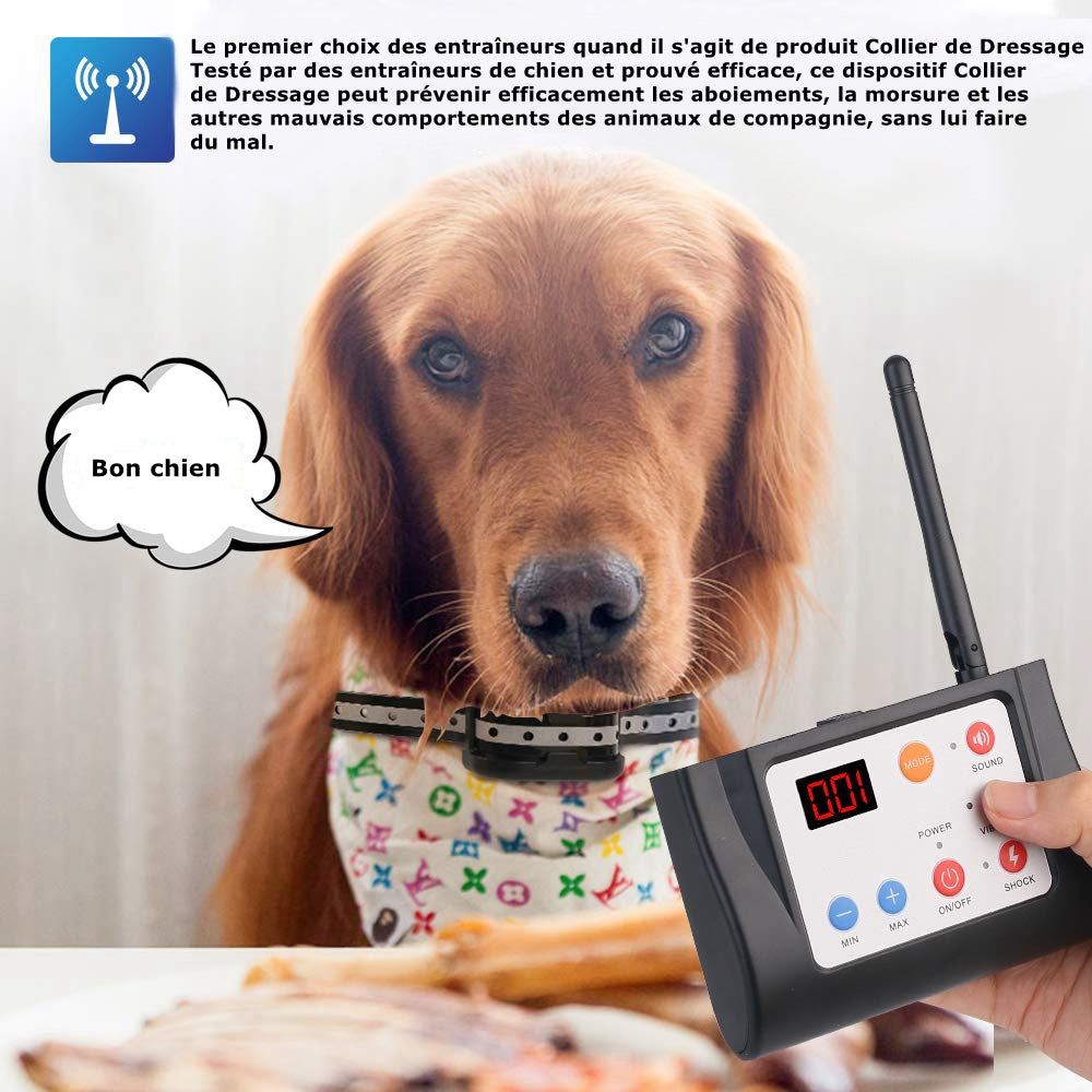 Système Clôture Anti-Fugue Sans Fil avec un Collier Imperméable，Clôture Sans Fil et Collier de Dressage pour Chien 2 en 1 (GAF003)