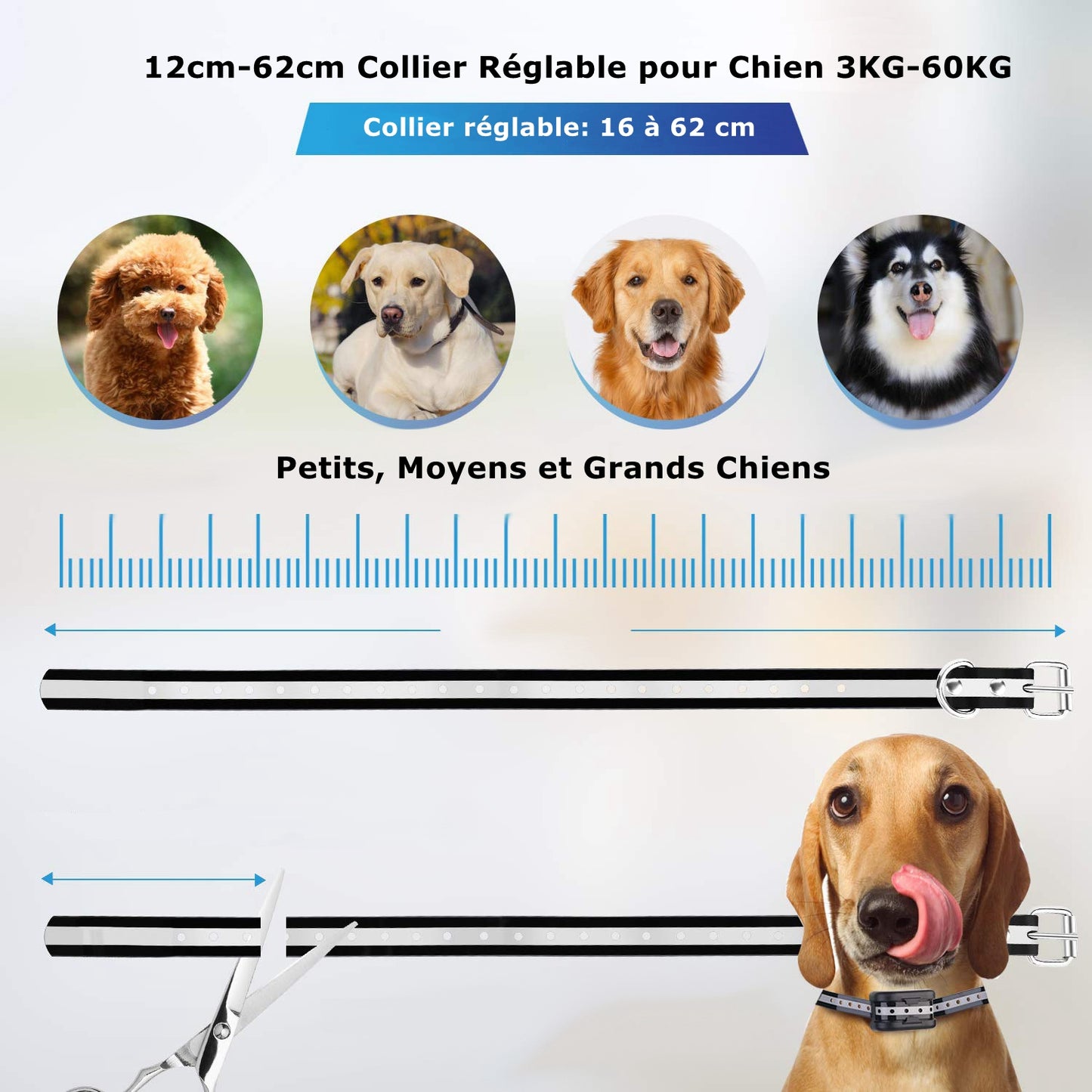 Système Clôture Anti-Fugue Sans Fil avec un Collier Imperméable，Clôture Sans Fil et Collier de Dressage pour Chien 2 en 1 (GAF003)