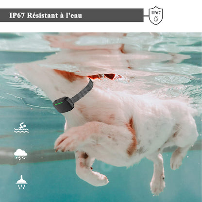 Automatic Anti Bark Dog Collar, Shock Collar-GNABT8008