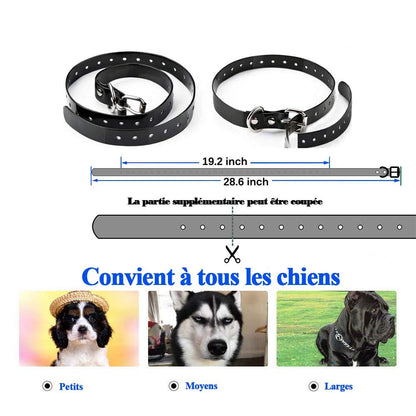 Collier de Dressage--Collier Choc--Portée de 800 Mètres-MR001